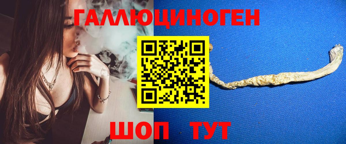 Псилоцибиновые грибы Psilocybe  Вход с VPN  Чебаркуль 